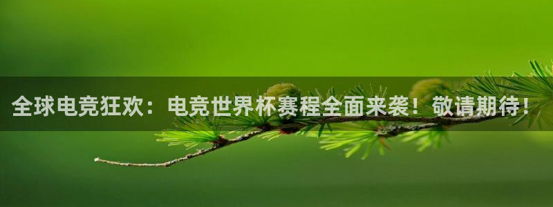 一竞技