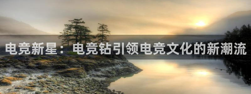 一竞技app下载安装：电竞新星：电竞钻引领电竞文化的新潮流