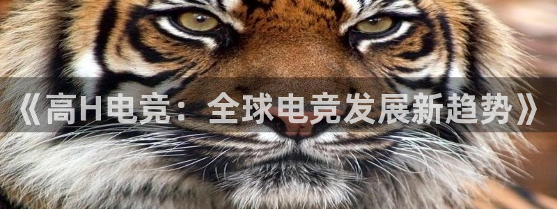 一竞技官网：《高H电竞：全球电竞发展新趋势》