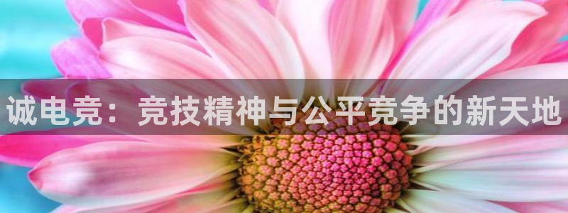 一竞技app下载：诚电竞：竞技精神与公平竞争的新天地
