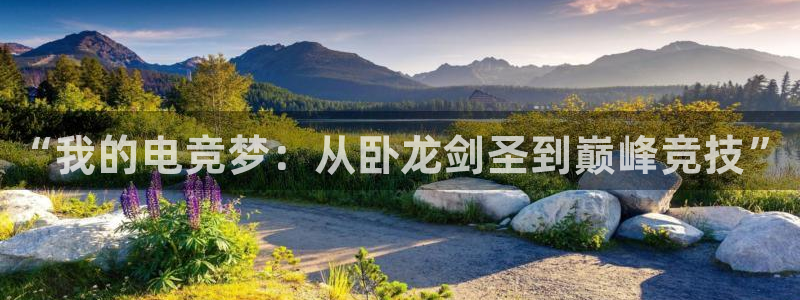 一竞技：“我的电竞梦：从卧龙剑圣到巅峰竞技”