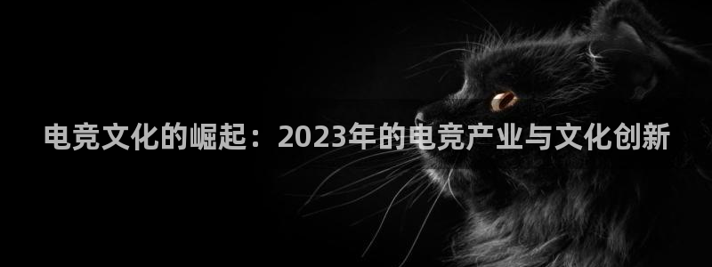 一竞技官网：电竞文化的崛起：2023年的电竞产业与文化创新