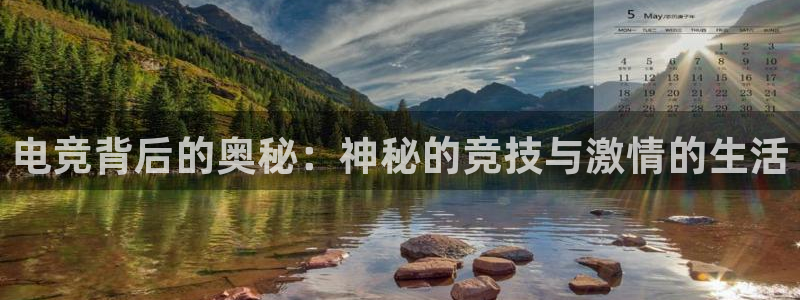 一竞技官网：电竞背后的奥秘：神秘的竞技与激情的生活
